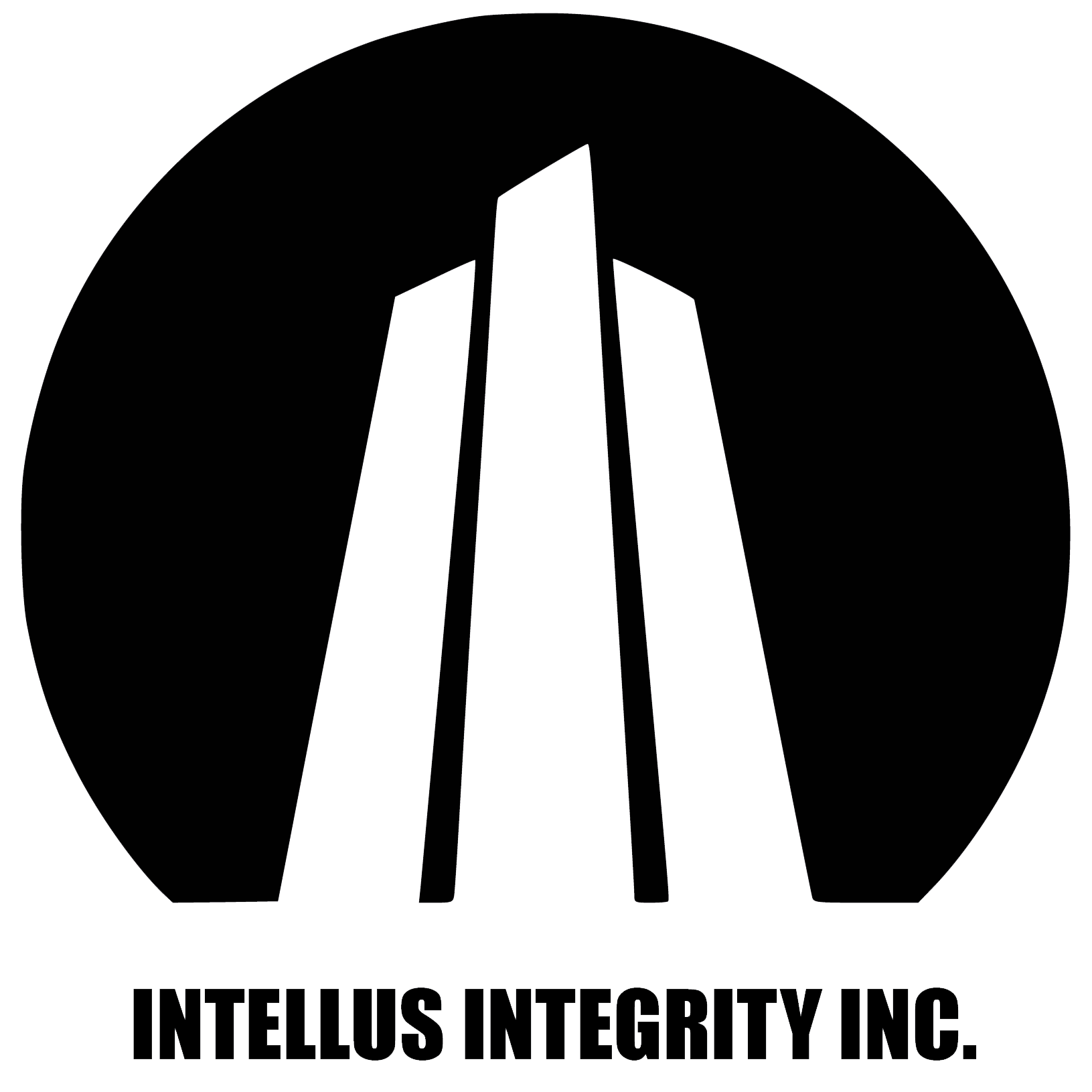 Intellus Integrity Inc. Company Stamp - Quality Inspection Services